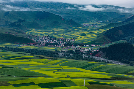 春天早上卓尔山油菜花田背景