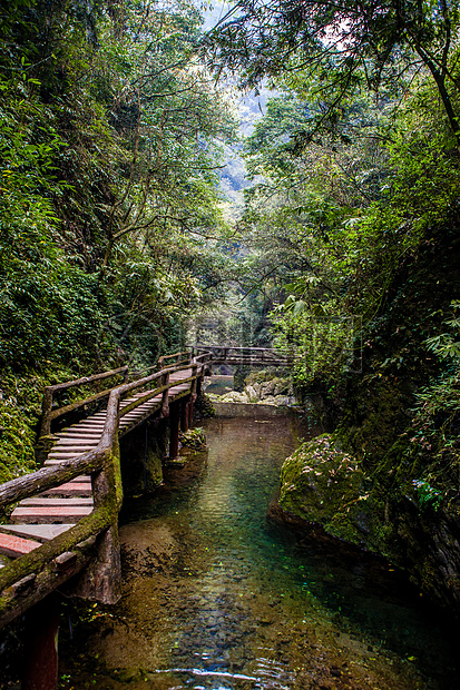 四川 青城山图片