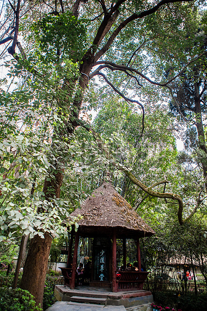 四川青城山图片