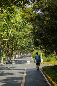 大学校园大学生走路背影图片