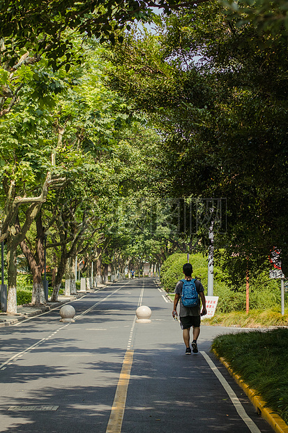 大学校园大学生走路背影图片