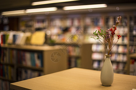 图书馆里的静物背景图片