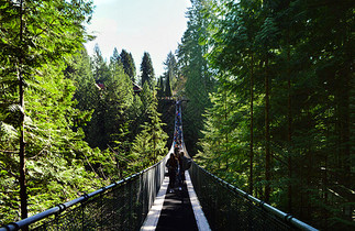 加拿大皮卡拉诺吊桥公园图片