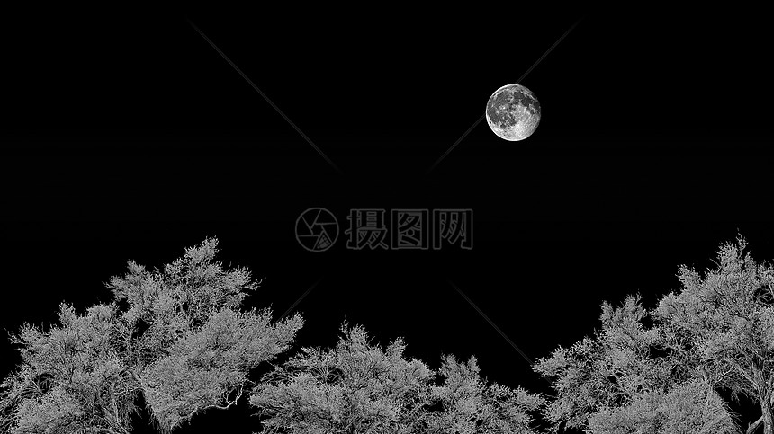 夜空中的月亮图片