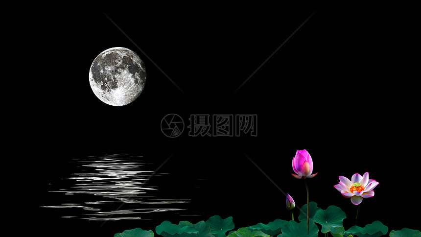 荷花池中的月亮倒影图片