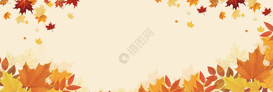 秋季背景背景图片