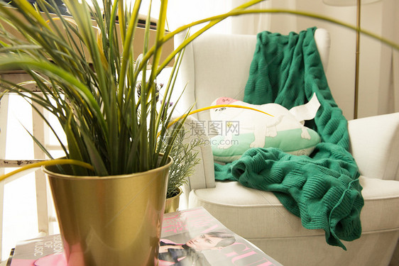客厅的沙发和绿植图片