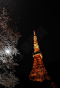 东京铁塔夜景图片