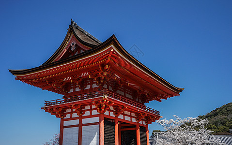 京都清水寺赏樱背景图片