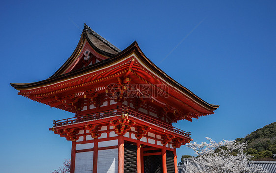 京都清水寺赏樱图片