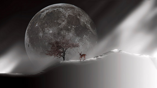 圆树叶月亮下的小动物背景