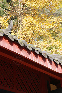 禅意古风寺院建筑背景图片