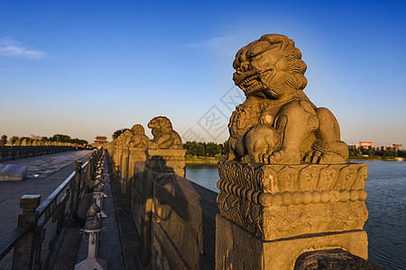 金色光卢沟桥东方雄狮历史的见证者背景