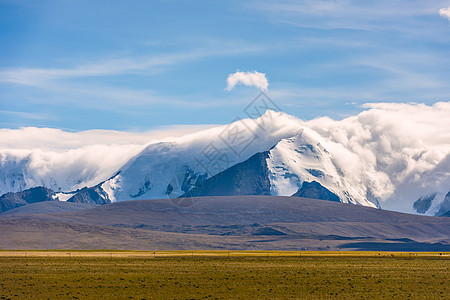 高山草地西藏阿里高山云海自然美景背景