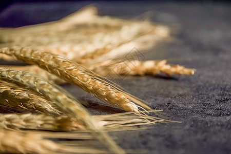 小麦背景素材高清图片