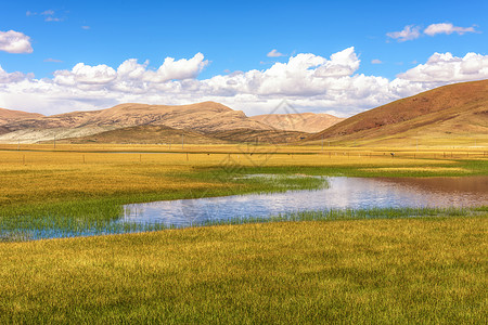 金色湖蓝天草原湿地背景