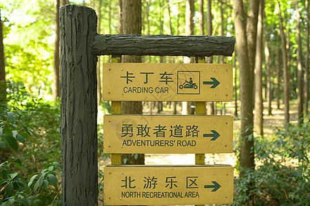 森林路标背景图片