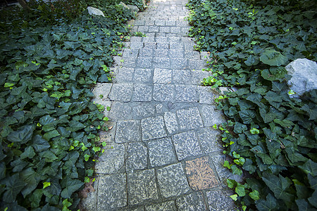 青石台阶背景