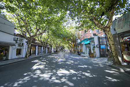 林荫小路上海小资法式林荫小道背景