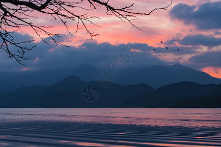 树枝剪影意境的山水风光背景