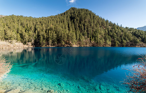 清澈水四川九寨沟海子美景背景