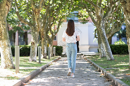 校园林荫道女生背影图片素材