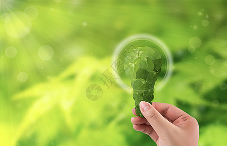 电灯泡及其内部的植物作为绿色能源的象征高清图片