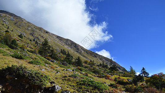 四川康定新都桥唯美风景照图片