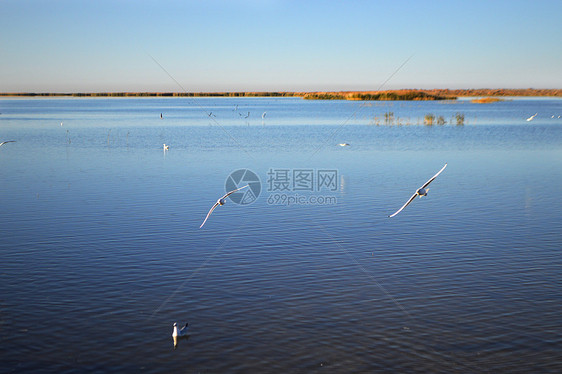 内蒙古额济纳旗居延海风景照图片