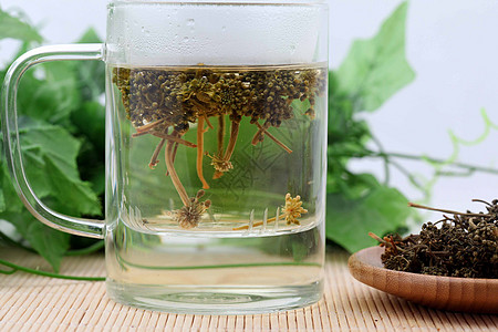 人参花茶图片 人参花茶素材 人参花茶高清图片 摄图网图片下载 人参花茶图片 人参花茶素材 人参花茶高清图片 摄图网图片下载