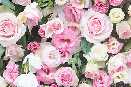 玫瑰花墙漂亮花园高清图片
