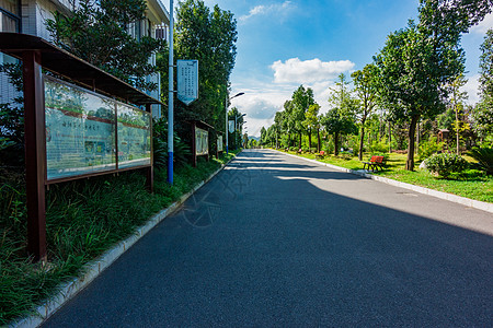 校园文化晴天的校园背景