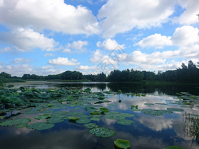 苏州蓝天虎丘湿地公园之蓝天白云背景