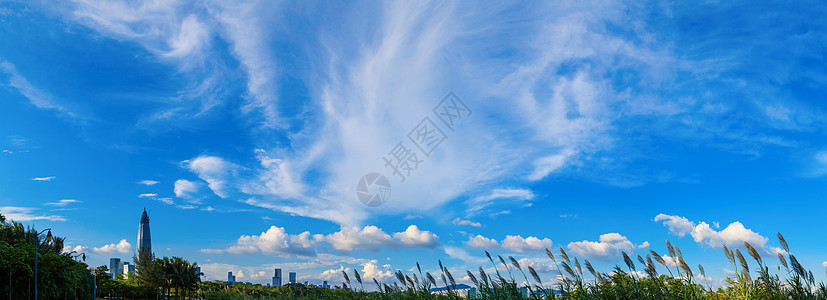 飞鸟形状的云层素材图片