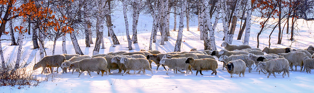 放牧矢量图冬狩背景