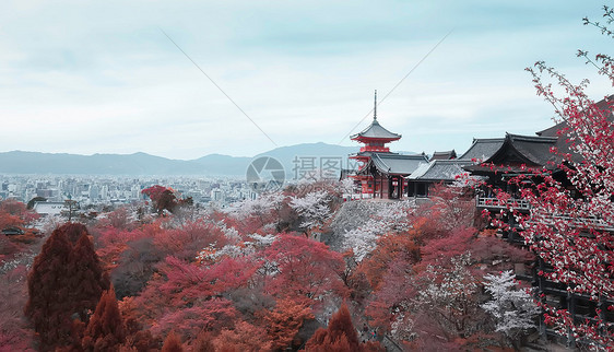 日本京都图片