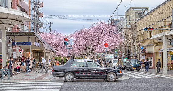 城市街道插画日本京都街景背景