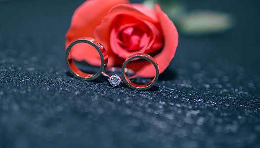 婚礼结婚红玫瑰高清图片