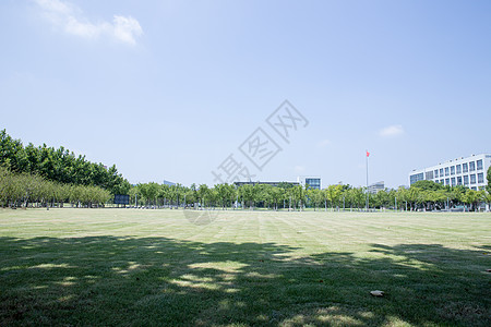 大学校园绿荫草地环境图片