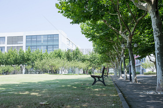 大学校园绿荫草地环境图片