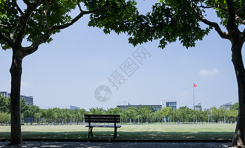 大学校园绿荫草地环境图片