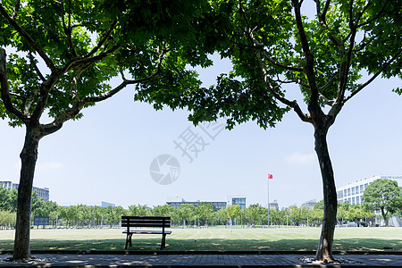 大学校园绿荫草地环境图片