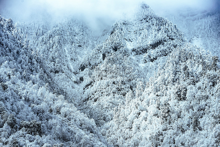 川西雪景图片