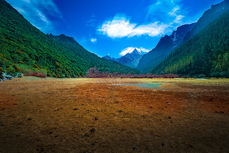 川西高原风景图片