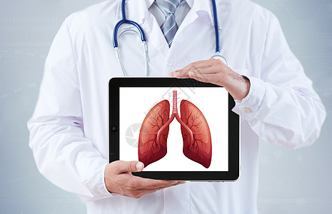 男医生医生拿着人体器官肺和平板设计图片