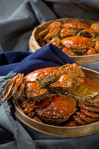 海鲜菜单螃蟹背景