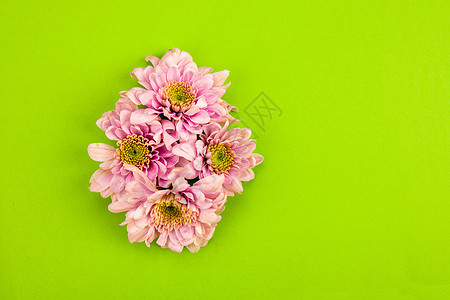 粉色花朵色彩组合素材背景图片