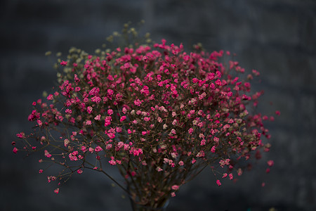 粉红色的花语图片