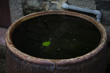 缸水上绿叶子背景