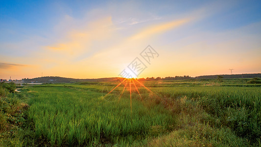 农村素材高清日出和田野背景